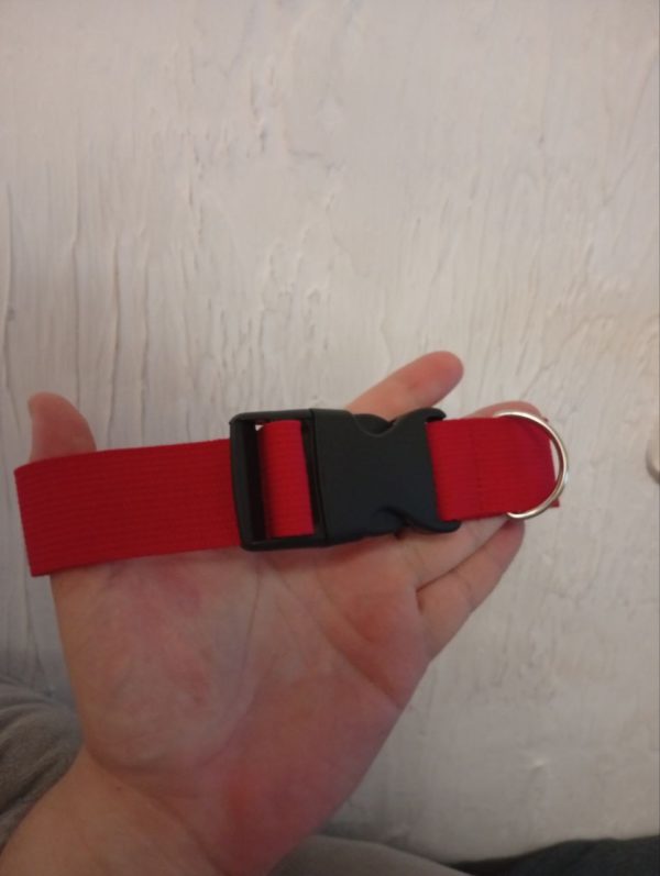 Collar - Image 8