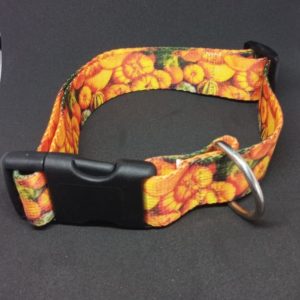 Pumpkin collar