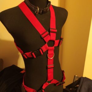 Harness