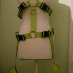 Extended Harness