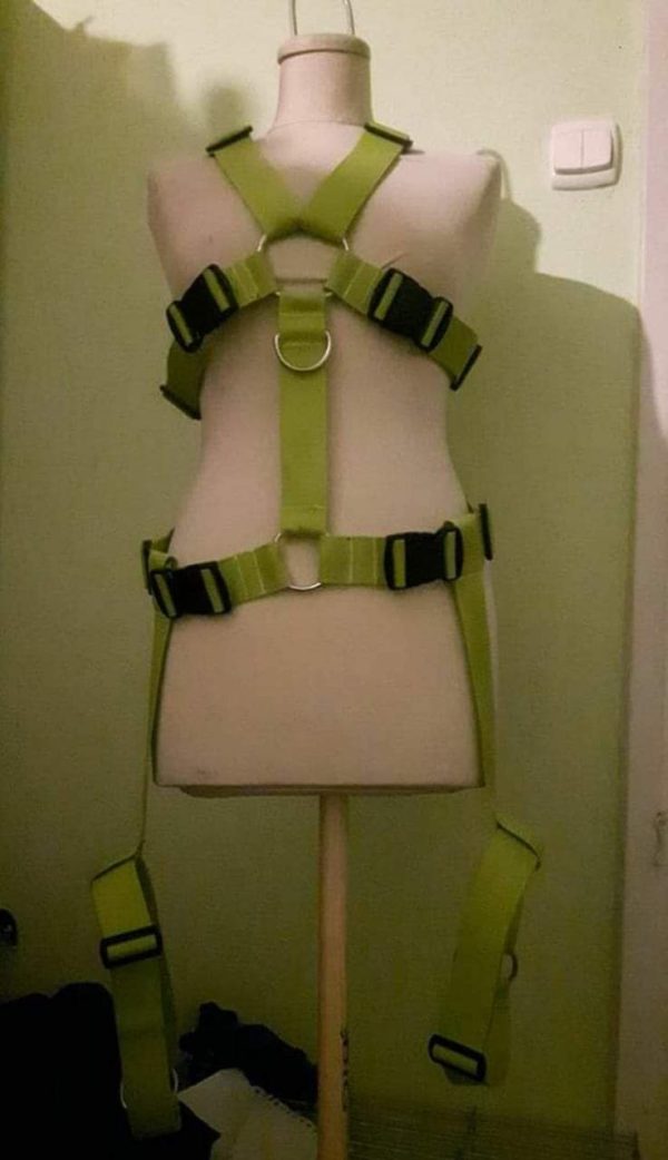 Extended Harness