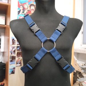 "X" Harness