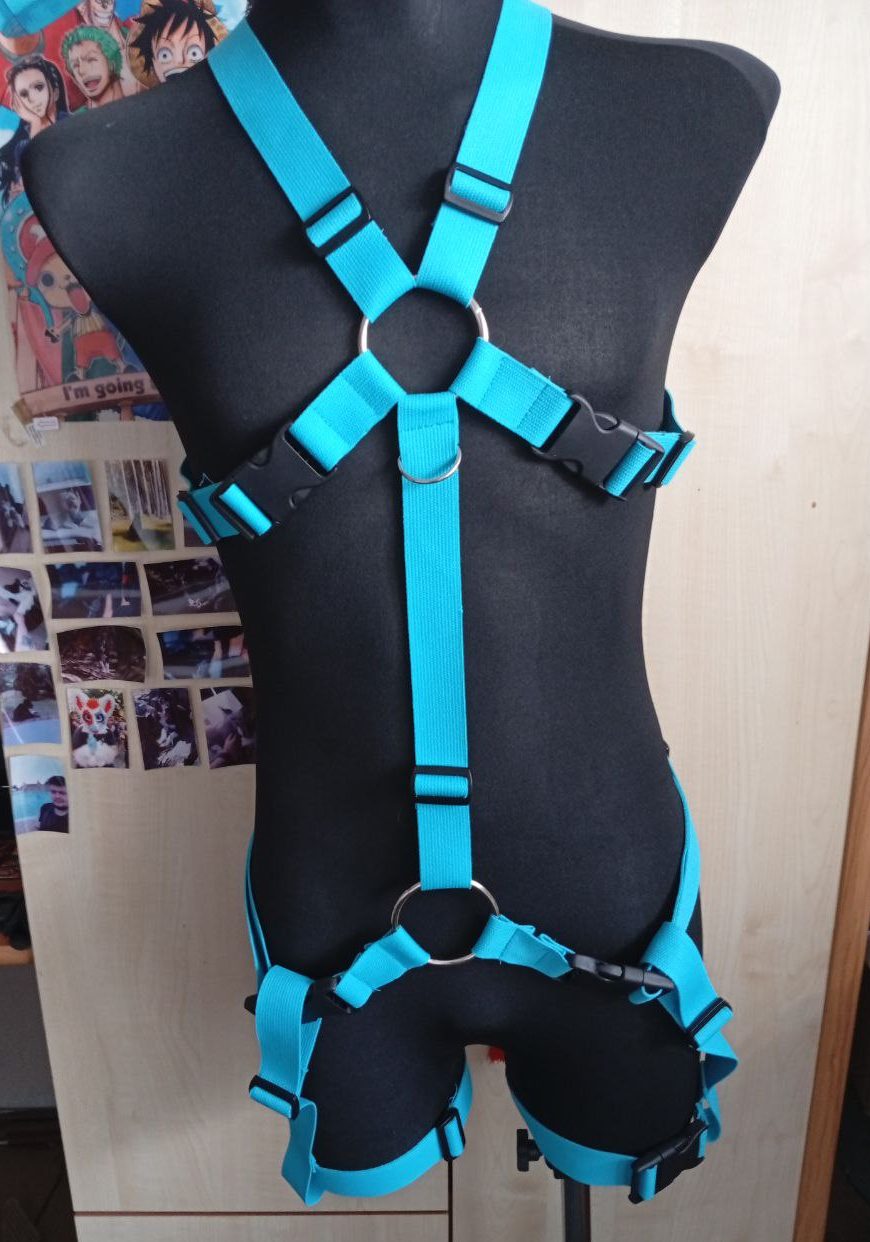Extended Harness - Image 3