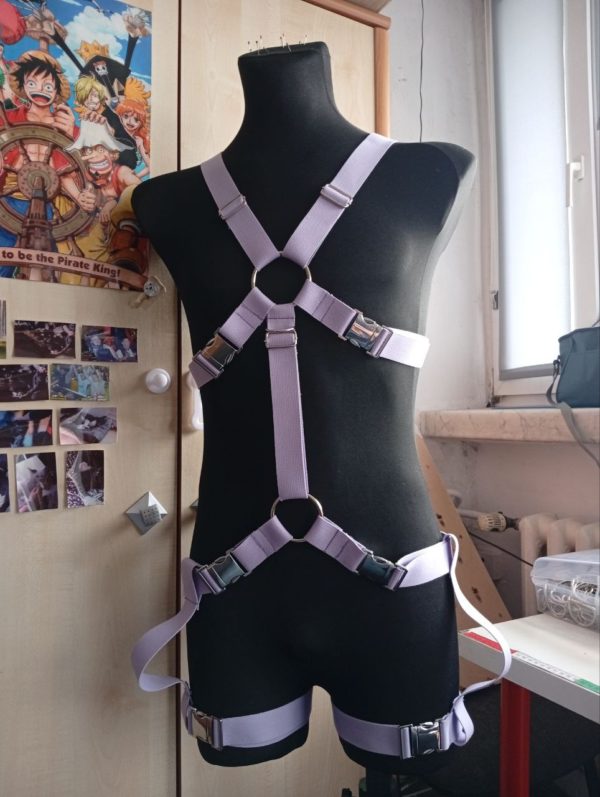 Extended Harness - Image 2