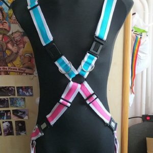Custom Harness