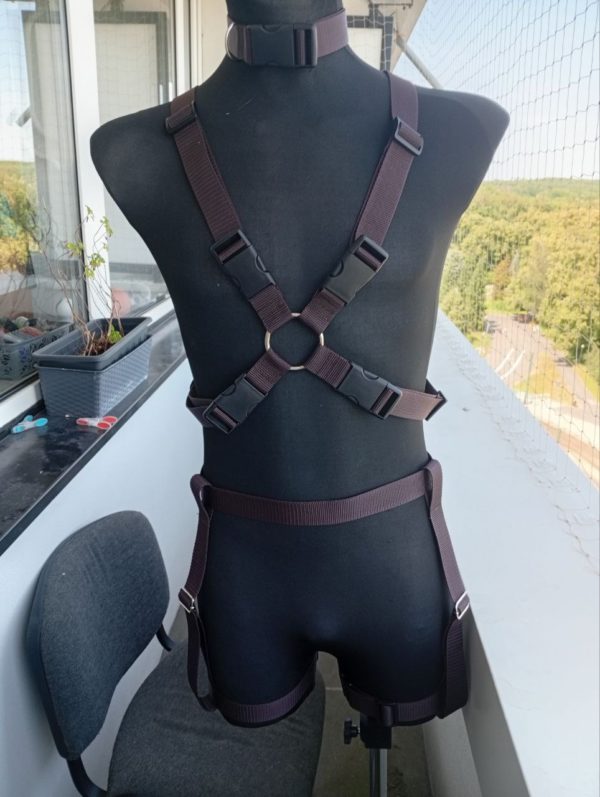 Custom Designe Harness - Image 3